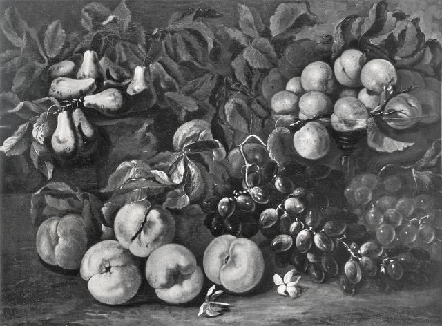Arte Fotografica — Castelli Bartolomeo Junior (Spadino) - sec. XVIII - Natura morta con pesche, prugne, uva e albicocche — insieme